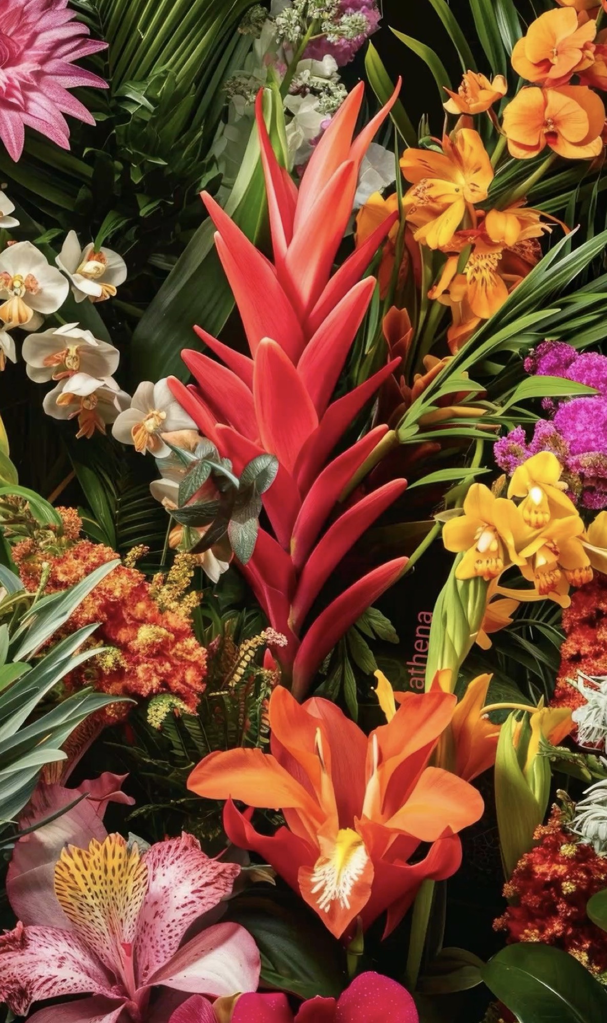 Hawaii retreat moment